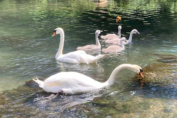 Marlborough, England, United Kingdom