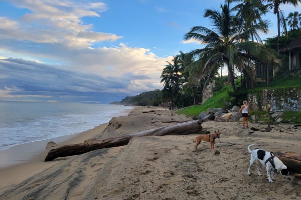 Sayulita,Chiapas,Mexico