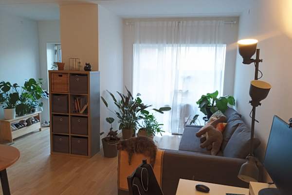 Copenhagen,Capital Region,Denmark