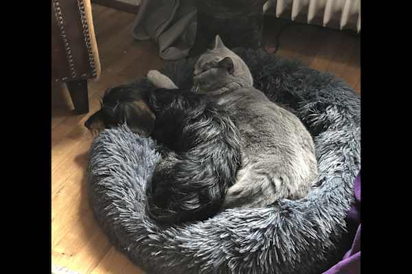 Mersch, Luxembourg, Luxembourg