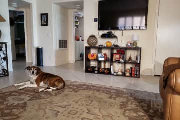 Las Vegas,Nevada,United States