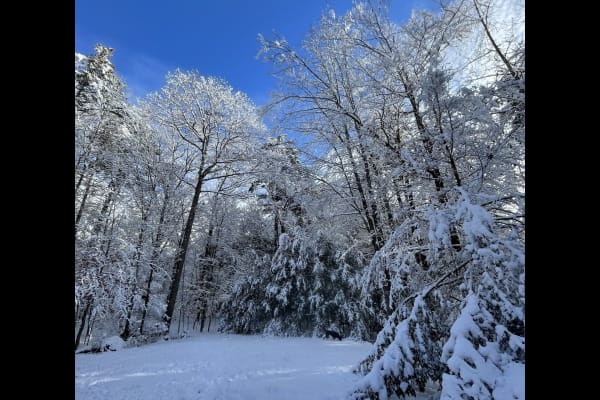 North Conway, New Hampshire, United States