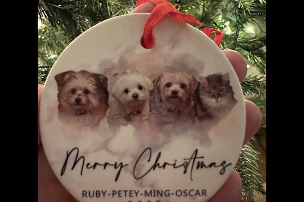 Rehoboth Beach, Delaware, United States