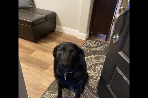 Nampa, Idaho, United States