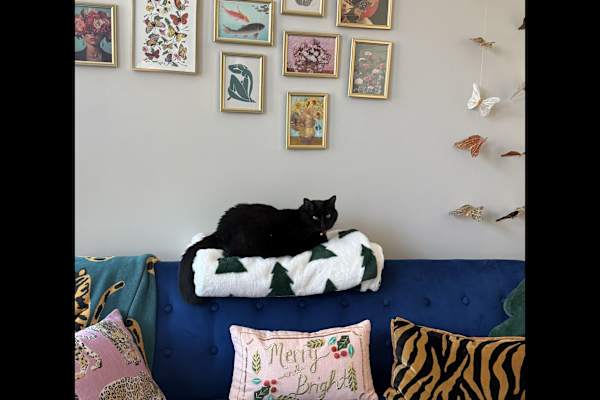 Mount Pleasant, South Carolina, United States