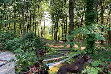 North Amherst,Massachusetts,United States