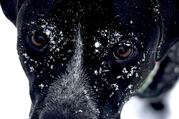 Empire, Michigan, United States