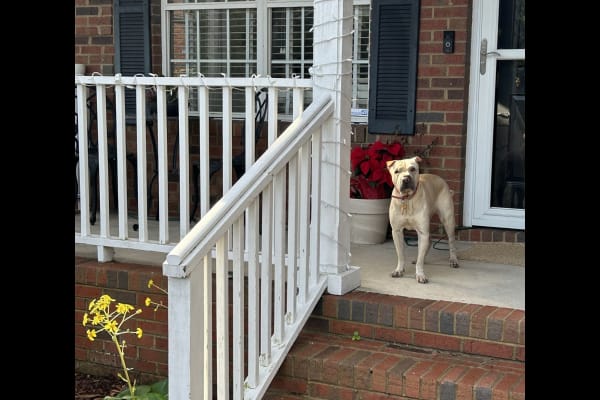 Charleston, South Carolina, United States