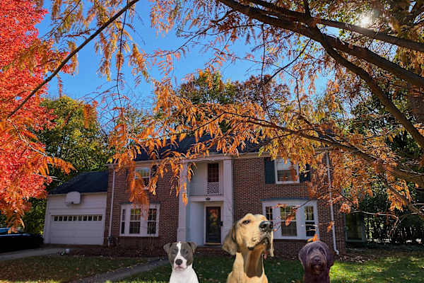 Kalamazoo, Michigan, United States