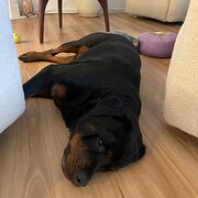 Strathnairn, Australian Capital Territory, Australia