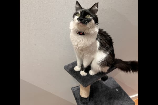 Porto, Porto, Portugal