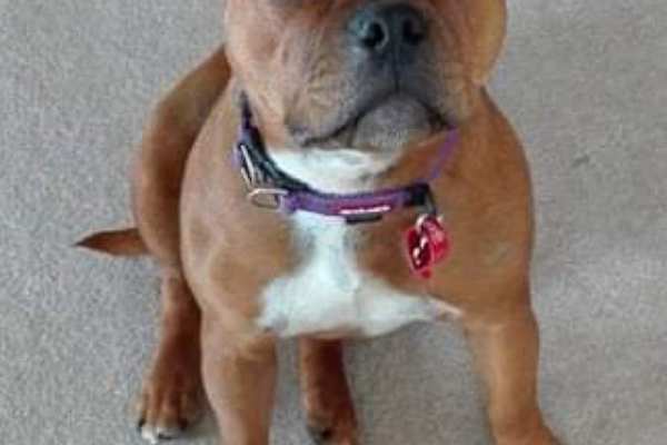 Warkworth, Auckland, New Zealand