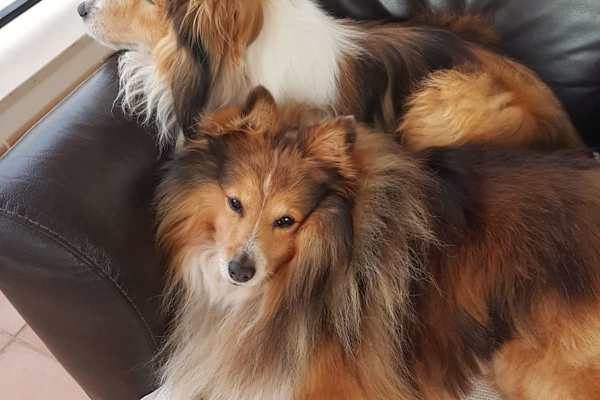 Vila Nova De Cacela, Faro, Portugal