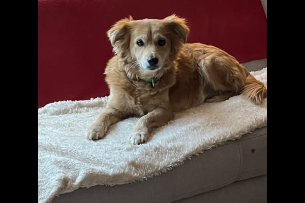 Paphos, Pafos, Cyprus