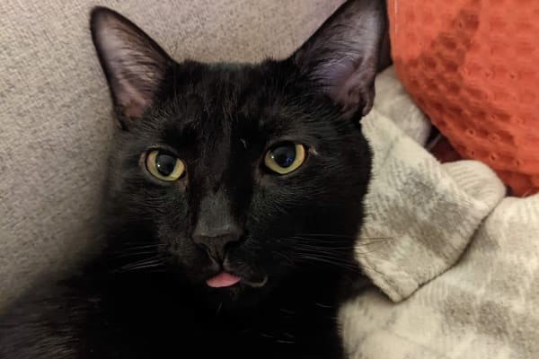 Philadelphia, Pennsylvania, United States