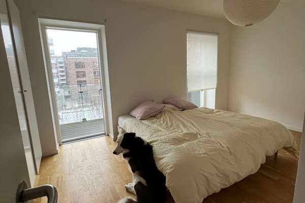 Copenhagen, Capital Region, Denmark