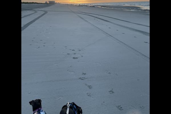 Myrtle Beach, South Carolina, United States