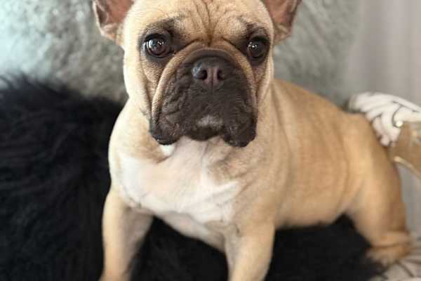 Ashburton, Canterbury, New Zealand