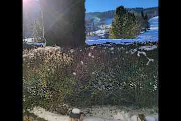 Mürzzuschlag,Styria,Austria
