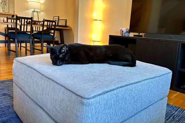 Edgewater, New Jersey, United States