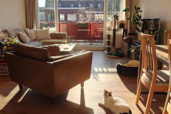 Amsterdam, North Holland, Netherlands