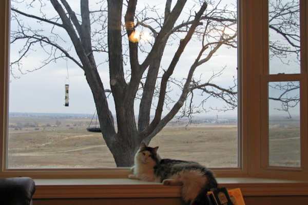 Broomfield, Colorado, United States