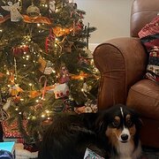 Wentworth Falls, New South Wales, Australia