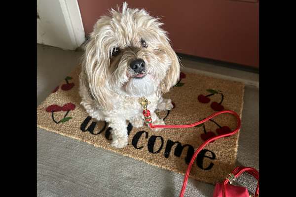 Fort Mill, South Carolina, United States