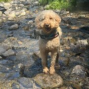 Cheltenham, Victoria, Australia