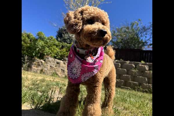 Denver, Colorado, United States