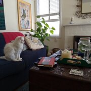 Wendouree, Victoria, Australia