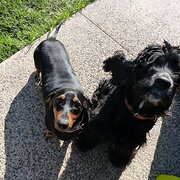 Eynesbury, Victoria, Australia