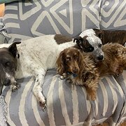 Edgeworth, New South Wales, Australia