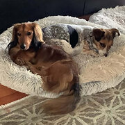 Olinda, Victoria, Australia