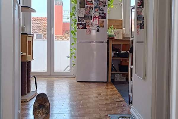 Lisbon, Lisbon, Portugal