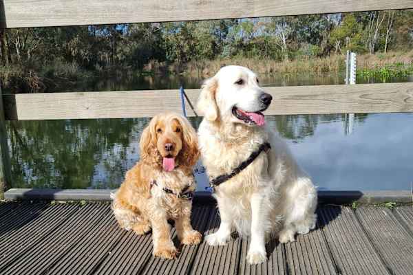 Seacliff, South Australia, Australia
