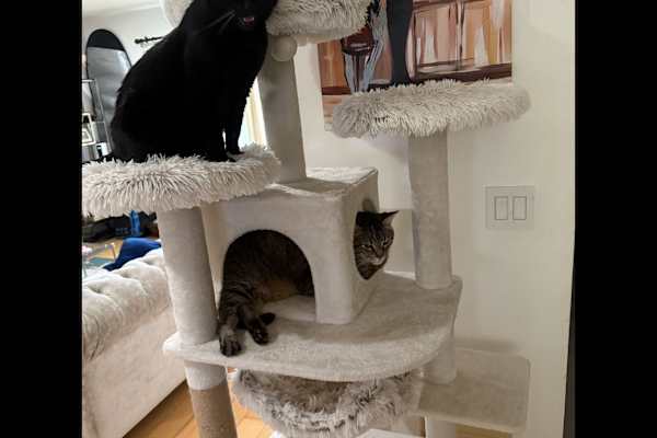 Culver City, California, United States