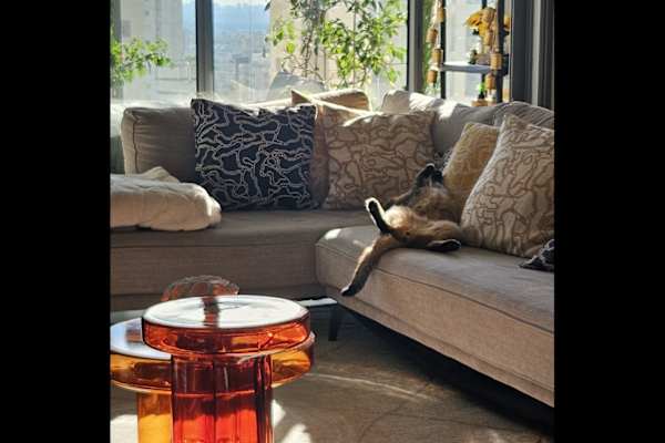 Qiryat Ono, Tel Aviv, Israel