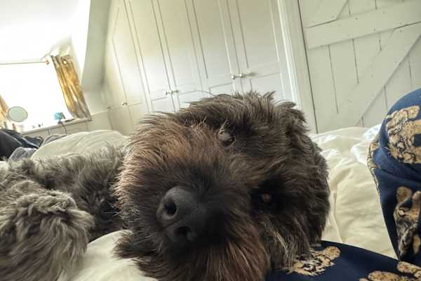 Doha, Baladiyat ad Dawhah, Qatar