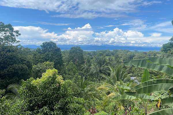 Puerto Jiménez, Puntarenas, Costa Rica