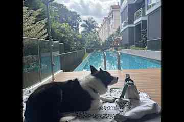 Singapore,Central Singapore,Singapore