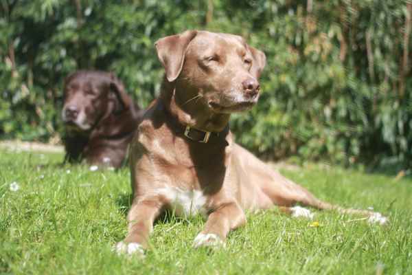 Keerbergen, Flanders, Belgium