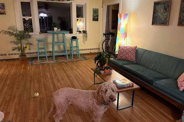 Bar Harbor, Maine, United States