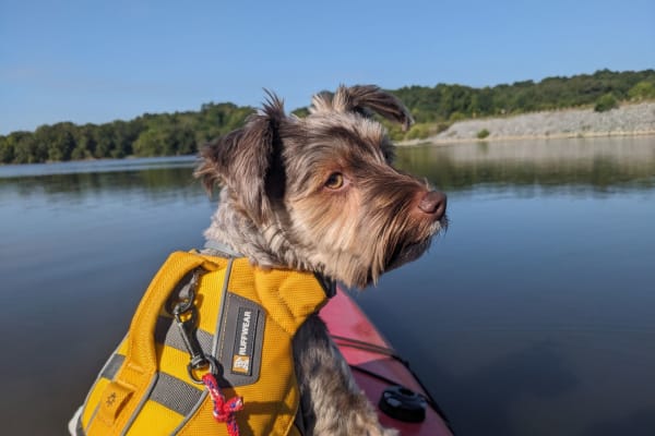 Cadiz, Kentucky, United States