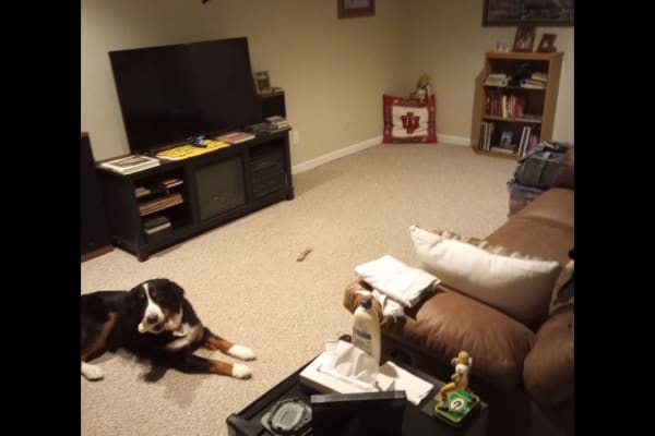 Cody, Wyoming, United States