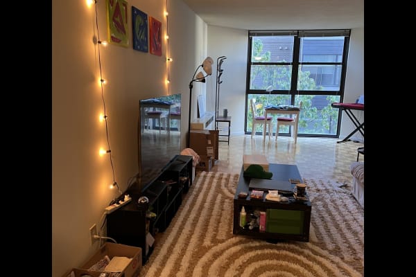 New Haven, Connecticut, United States