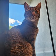 Kingston, Australian Capital Territory, Australia