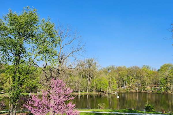 Ann Arbor, Michigan, United States