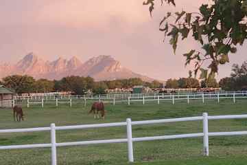 Stellenbosch,Western Cape,South Africa