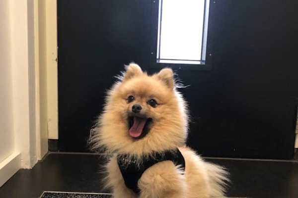 Dubai, Dubai, United Arab Emirates